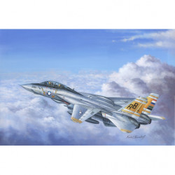 HOBBY BOSS F-14A Tomcat