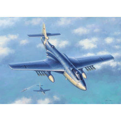 HOBBY BOSS Seahawk MK.100/101