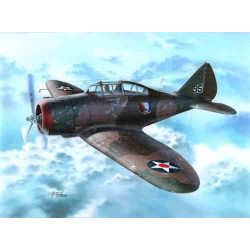 SPECIAL HOBBY P-35