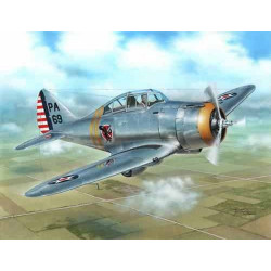 SPECIAL HOBBY P-35 Silver...