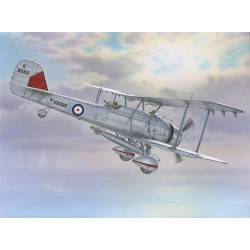 SPECIAL HOBBY Vickers...