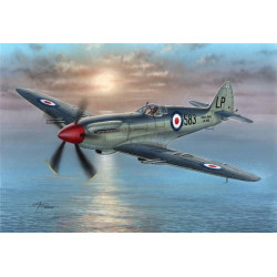 SPECIAL HOBBY Supermarine...