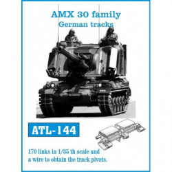FRIULMODEL AMX 30 family...
