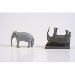 CMK Asian Elephant (1 fig.)