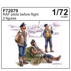 CMK RAF Pilots before...