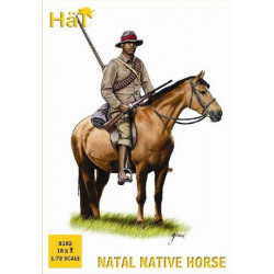 HAT Natal Native Horse
