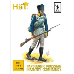 HAT Prussian Infantry...