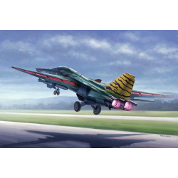 HOBBY BOSS FB-111 Aardvark