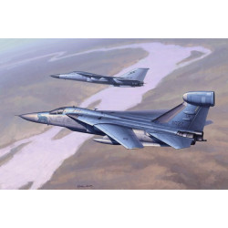 HOBBY BOSS EF-111 Raven