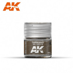 AK REAL COLOR Tarngrau...