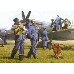ICM RAF Pilots and Ground...
