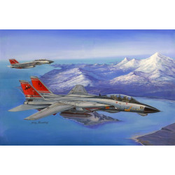 HOBBY BOSS F-14D...