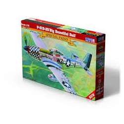 MISTERCRAFT P-51D-25 'Big...