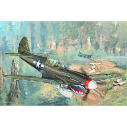 TRUMPETER P-40N War Hawk