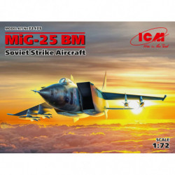 ICM MiG-25BM