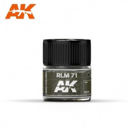 AK REAL COLOR RLM 71 10ml