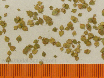 MODEL SCENE Lime Leaves