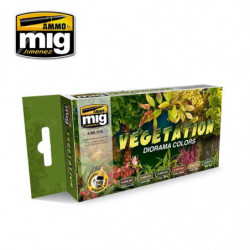 AMIG Vegetation Diorama...