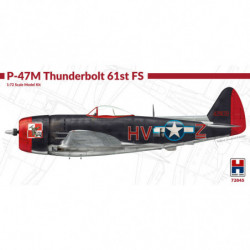 HOBBY 2000 P-47M...