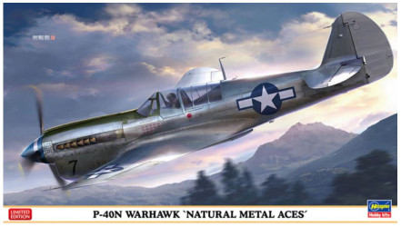 HASEGAWA P-40N Warhawk...