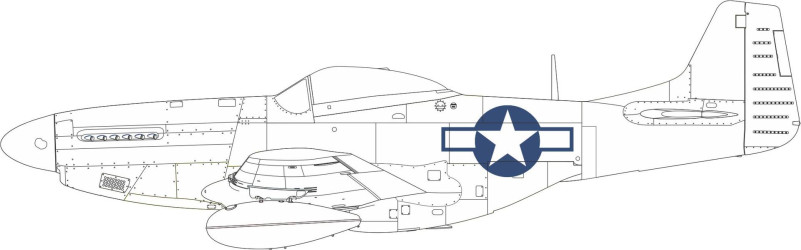 EDUARD MASK P-51D national...