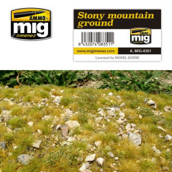 AMIG Stony Mountain Ground