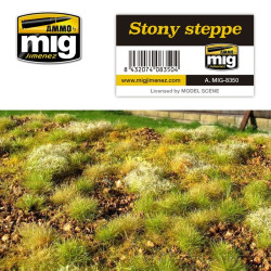 AMIG Stony Steppe